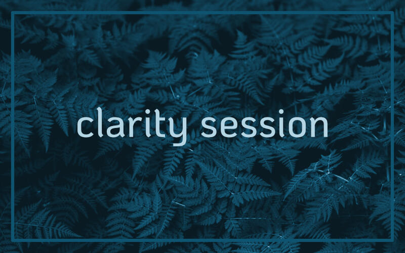 Life Coaching - Michele green ferns with the text: clarity session.