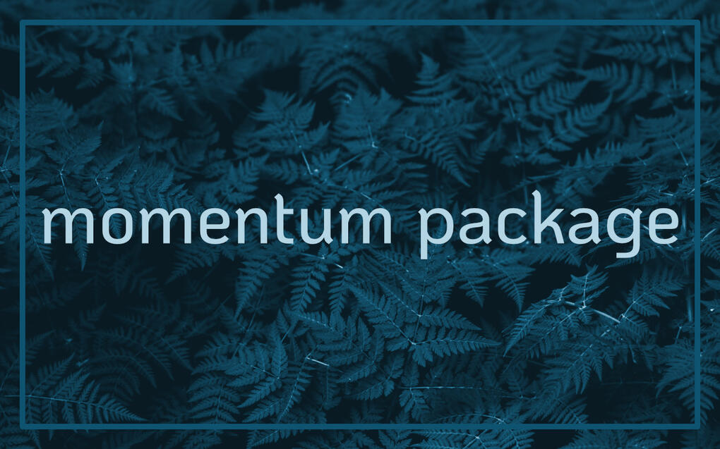 Life Coaching - Michele green ferns with the text: momentum package.
